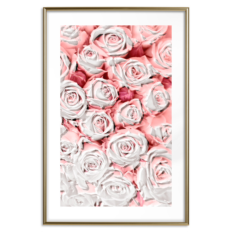 Wall Poster White Roses - beautiful composition of lovely flowers in light pink color 117900 additionalImage 17