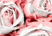 Wall Poster White Roses - beautiful composition of lovely flowers in light pink color 117900 additionalThumb 9