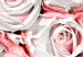 Wall Poster White Roses - beautiful composition of lovely flowers in light pink color 117900 additionalThumb 8