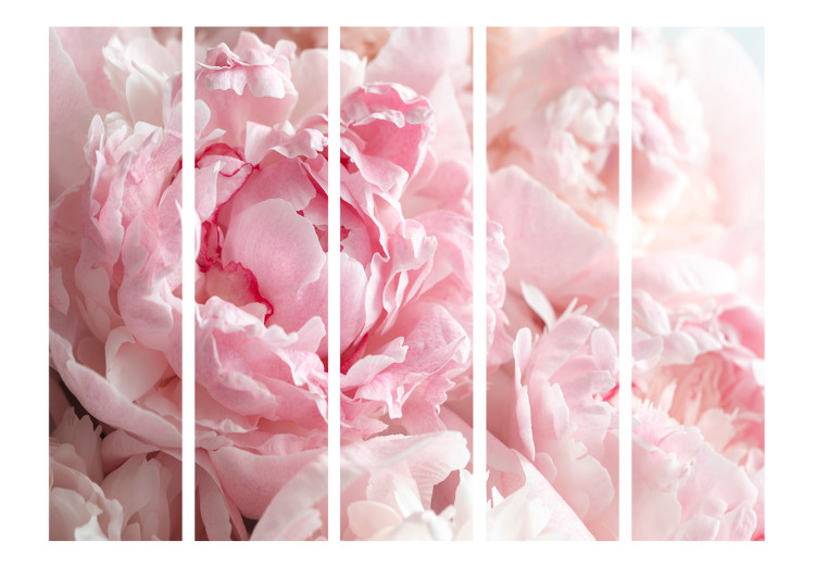 Room Divider Screen Sweet Peonies II - pink flower petals against a background of sunlight rays 118400 additionalImage 3