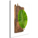 Canvas Plant zodiac: Pisces - minimalist, botanical composition 122600 additionalThumb 2
