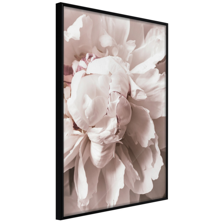 Wall Poster Rhythmic Delicacy - light pink flowers in a natural composition 127400 additionalImage 13