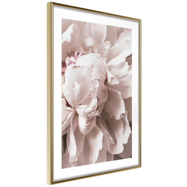 Wall Poster Rhythmic Delicacy - light pink flowers in a natural composition 127400 additionalImage 9