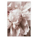 Wall Poster Rhythmic Delicacy - light pink flowers in a natural composition 127400