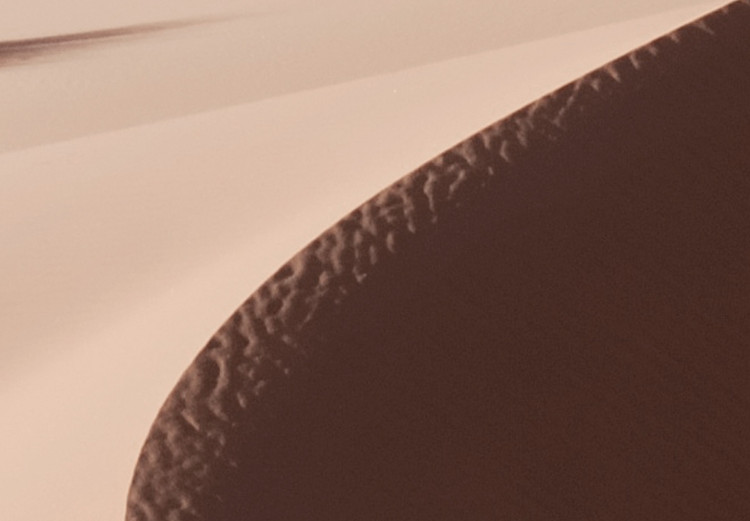 Canvas Serpentine (1-part) vertical - sand landscape on the Arabian desert 129500 additionalImage 5