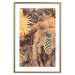 Wall Poster Golden Cone - autumn composition of forest plants in brown hues 131800 additionalThumb 16