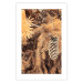 Wall Poster Golden Cone - autumn composition of forest plants in brown hues 131800 additionalThumb 19