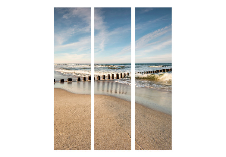 Folding Screen Sea Breeze - seascape and beach landscape against a cloudy sky 134100 additionalImage 3