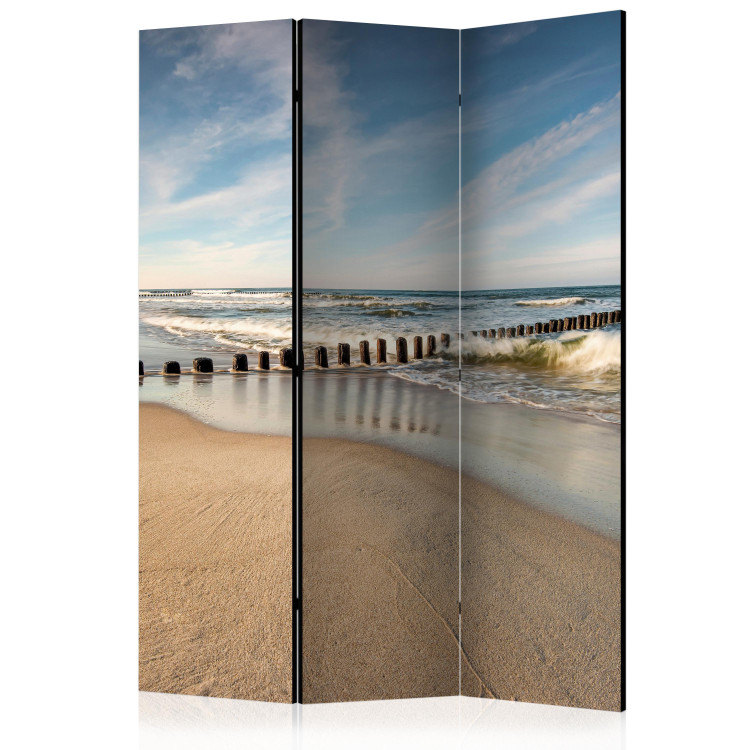 Folding Screen Sea Breeze - seascape and beach landscape against a cloudy sky 134100