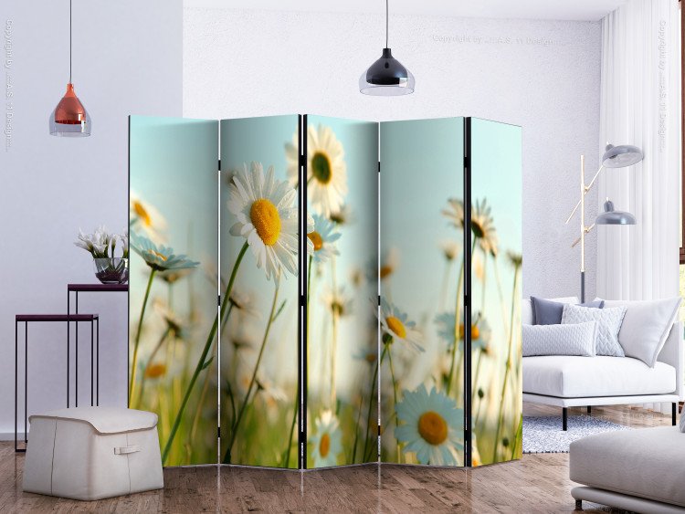 Room Divider Daisies - Spring Meadow II (5-piece) - white flowers among grass 134200 additionalImage 2