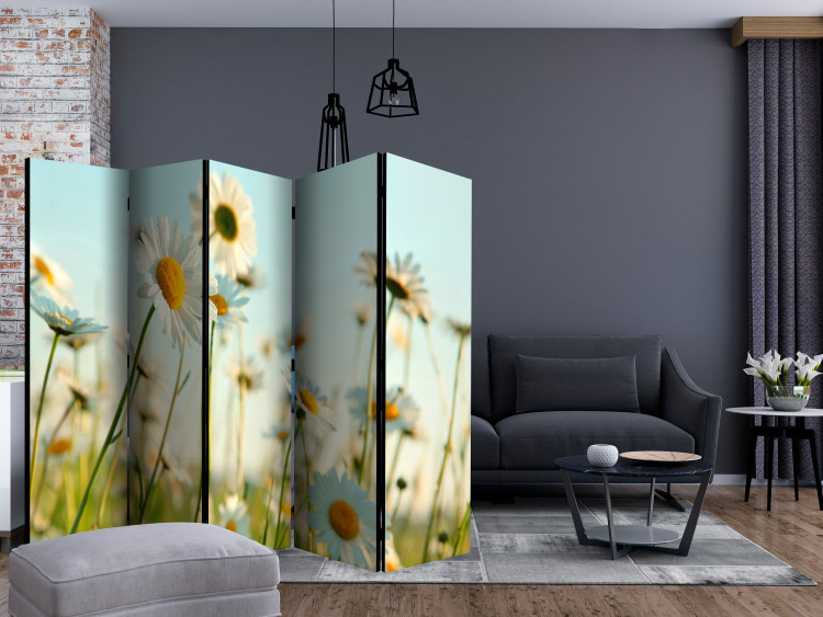 Room Divider Daisies - Spring Meadow II (5-piece) - white flowers among grass 134200 additionalImage 4