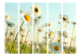 Room Divider Daisies - Spring Meadow II (5-piece) - white flowers among grass 134200 additionalThumb 3