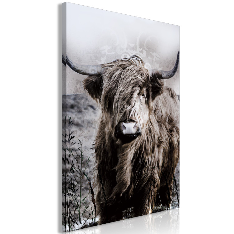 Canvas Art Print Highland Cow in Sepia - wild animal with long hair on a light background 134700 additionalImage 2