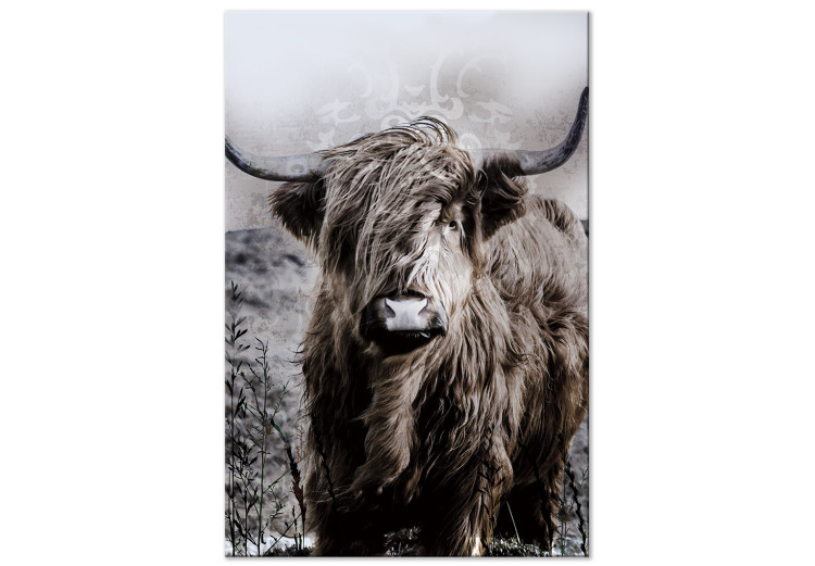 Canvas Art Print Highland Cow in Sepia - wild animal with long hair on a light background 134700