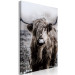 Canvas Art Print Highland Cow in Sepia - wild animal with long hair on a light background 134700 additionalThumb 2