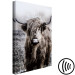 Canvas Art Print Highland Cow in Sepia - wild animal with long hair on a light background 134700 additionalThumb 6