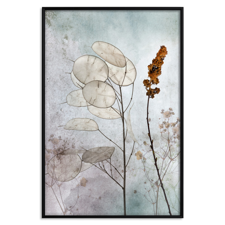 Wall Poster Misty Lunaria - romantic meadow composition with flowers on a light background 135100 additionalImage 16