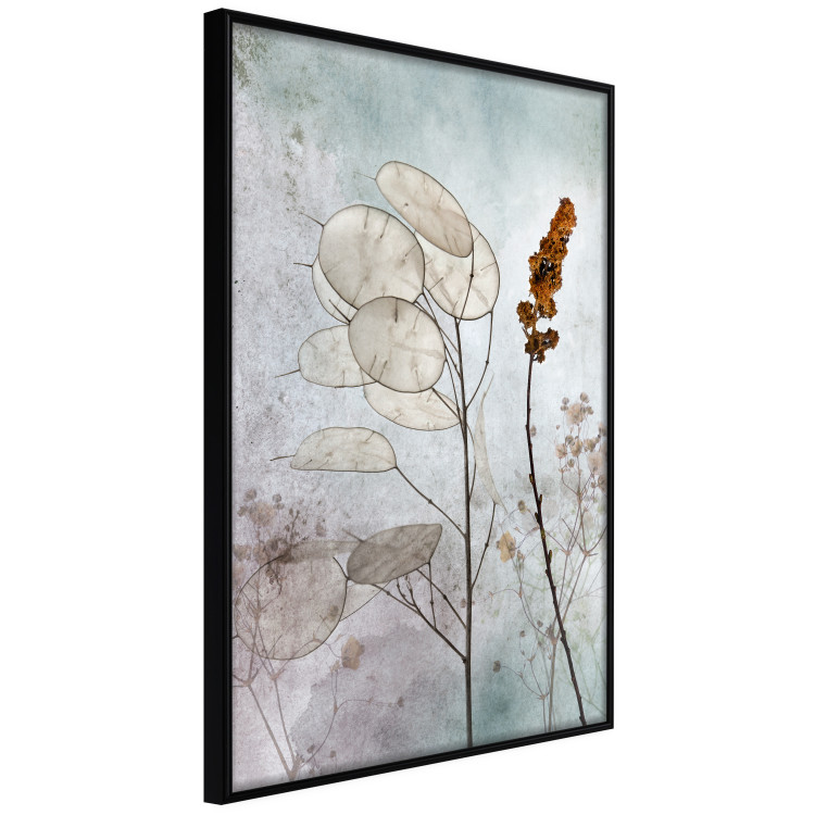 Wall Poster Misty Lunaria - romantic meadow composition with flowers on a light background 135100 additionalImage 12