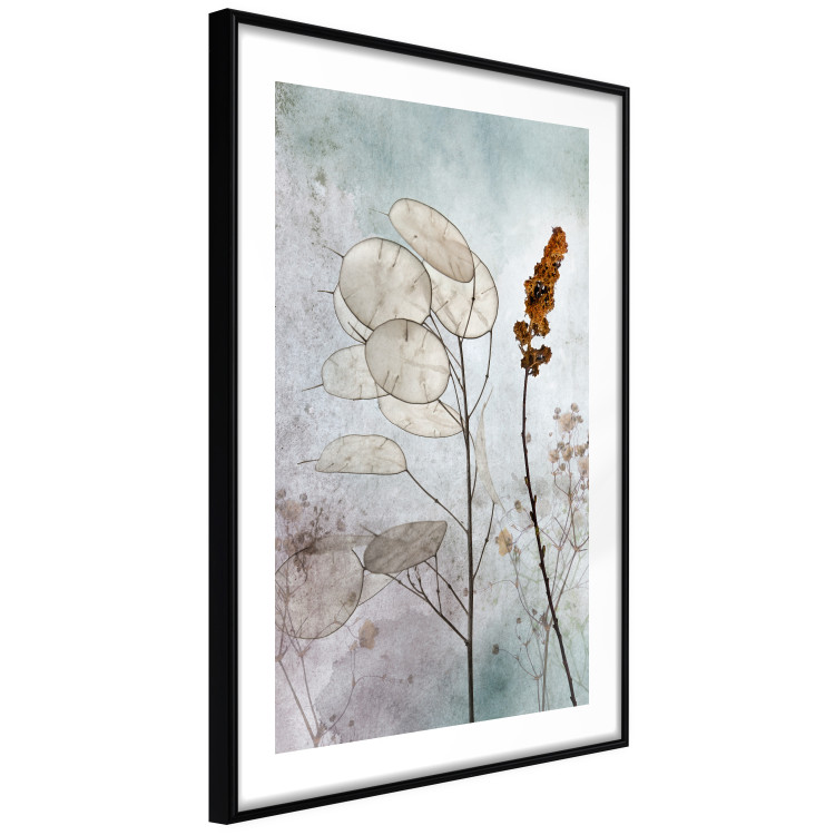 Wall Poster Misty Lunaria - romantic meadow composition with flowers on a light background 135100 additionalImage 3