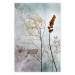 Wall Poster Misty Lunaria - romantic meadow composition with flowers on a light background 135100