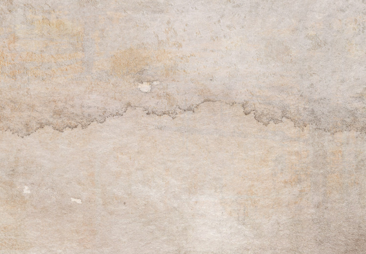 Canvas Art Print Foggy Thoughts - Beige Abstract Background in Vintage Style 143800 additionalImage 4