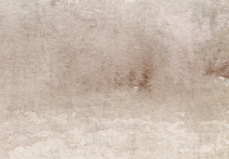 Canvas Art Print Foggy Thoughts - Beige Abstract Background in Vintage Style 143800 additionalImage 5