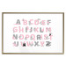 Wall Poster English Alphabet for Children - Gray and Pink Letters with Animals 146500 additionalThumb 17