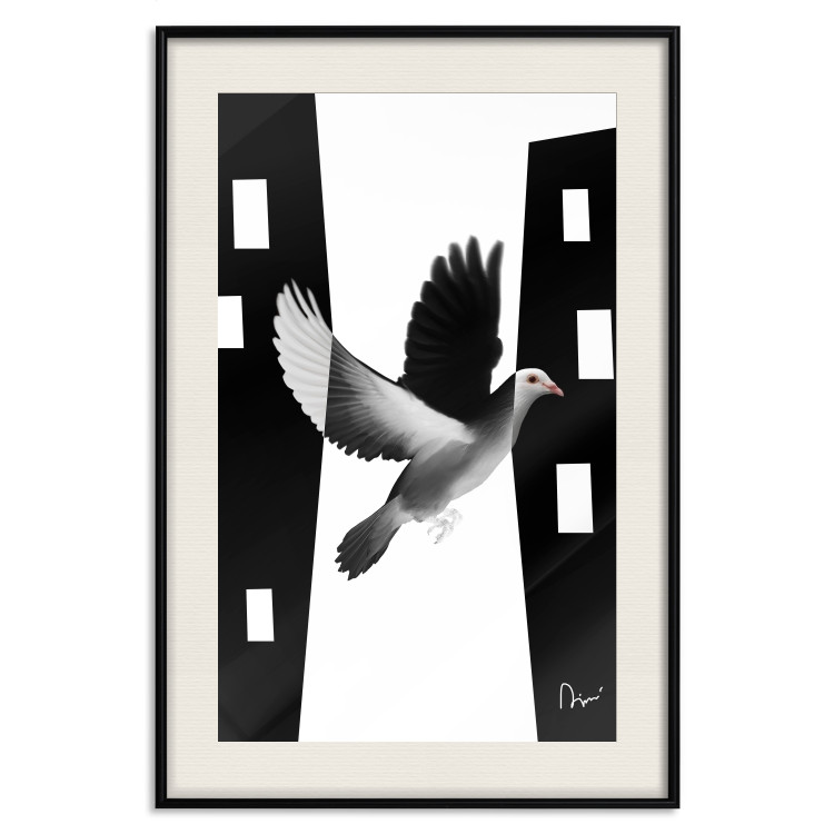 Poster White Dove [Poster] 149100 additionalImage 24