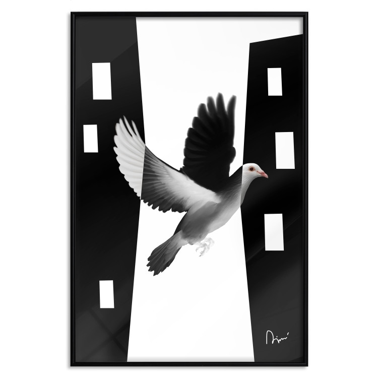 Poster White Dove [Poster] 149100 additionalImage 18