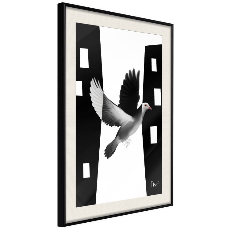 Poster White Dove [Poster] 149100 additionalImage 2