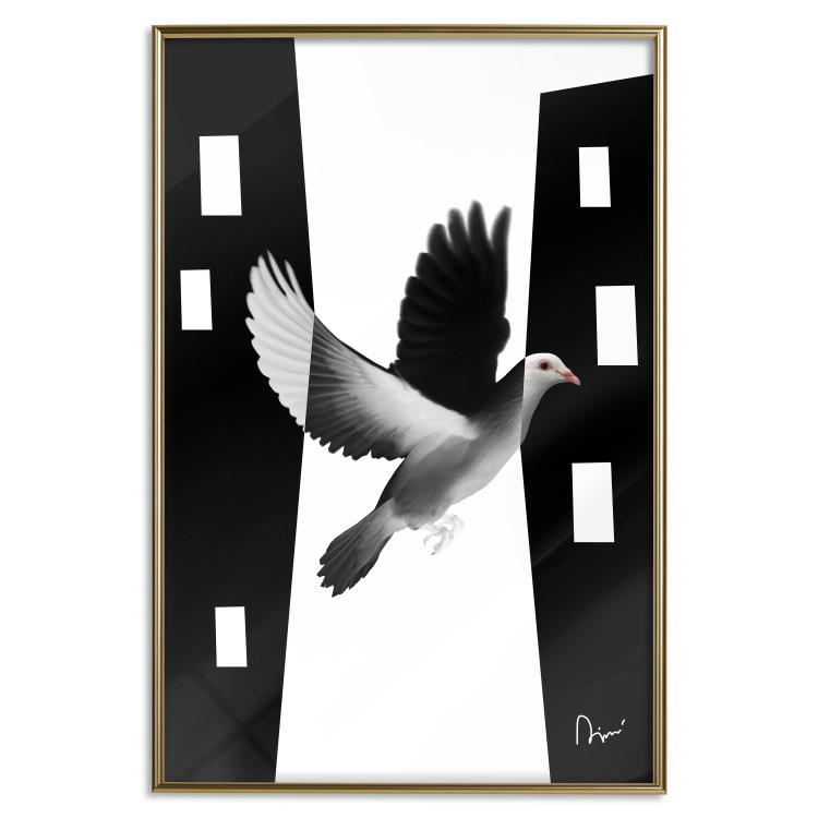 Poster White Dove [Poster] 149100 additionalImage 25