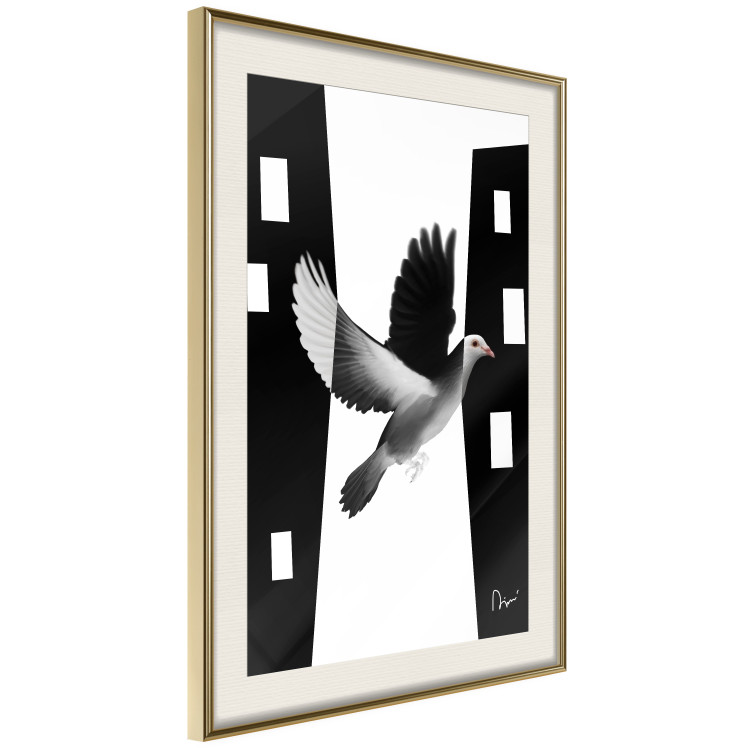 Poster White Dove [Poster] 149100 additionalImage 3