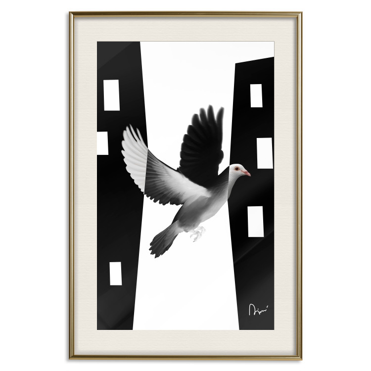 Poster White Dove [Poster] 149100 additionalImage 23