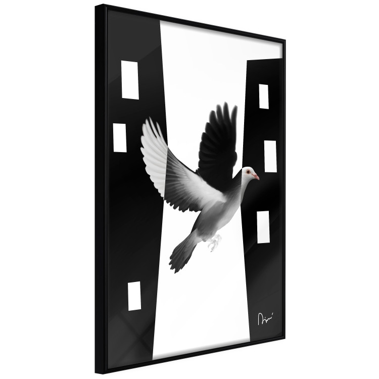 Poster White Dove [Poster] 149100 additionalImage 11