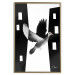 Poster White Dove [Poster] 149100 additionalThumb 25