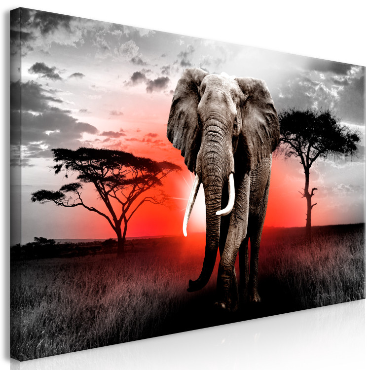 Large canvas print Elephant Against the Setting Sun II [Large Format] 150800 additionalImage 2