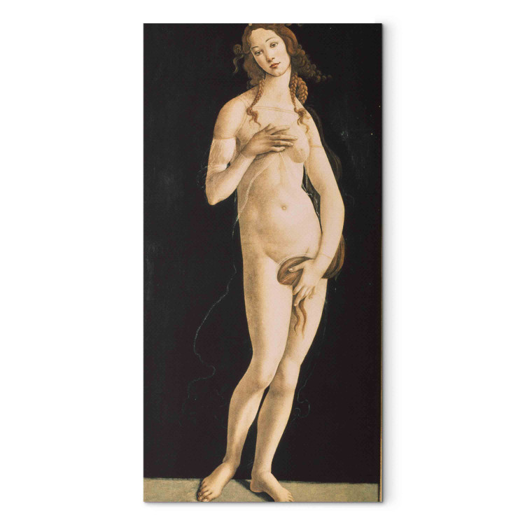 Art Reproduction Venus 152800