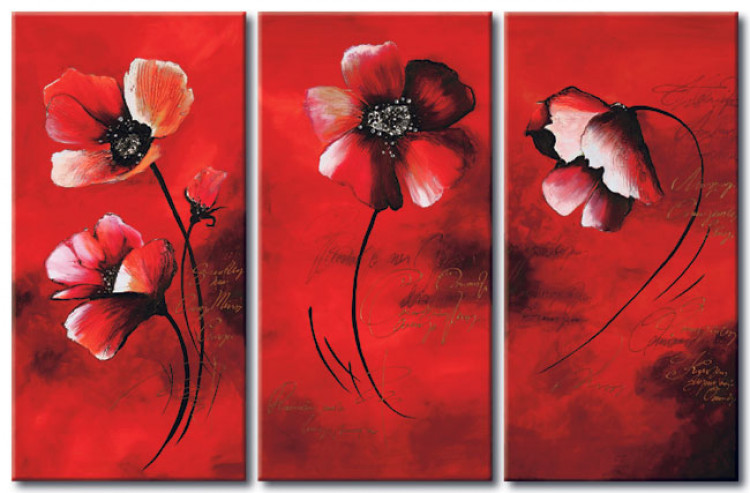 Canvas Print Romantic poppies 48500