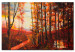Canvas Print Autumn in warm tone 49600