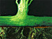 Canvas Emerald mystery 49900 additionalThumb 2