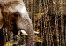 Canvas Print Brown Elephants (5 Parts) Wide 50000 additionalThumb 5