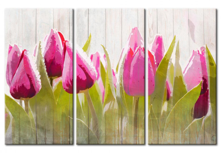 Canvas Print Spring bouquet of tulips 50200