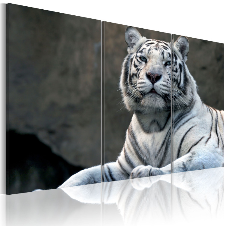 Canvas Print White tiger 58600 additionalImage 2
