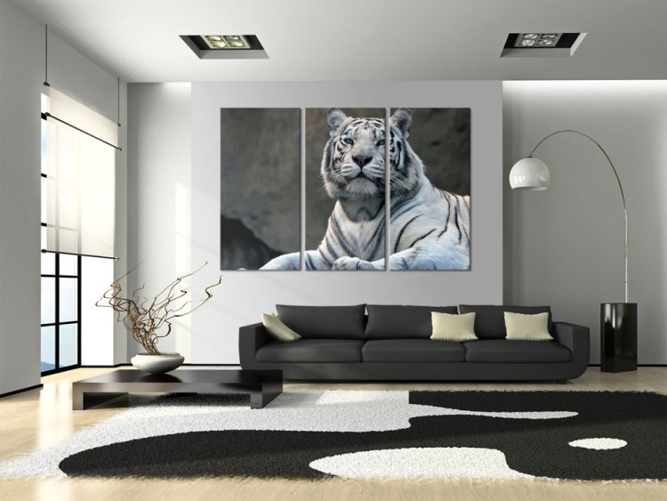 Canvas Print White tiger 58600 additionalImage 3