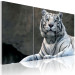 Canvas Print White tiger 58600 additionalThumb 2