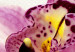 Canvas Art Print Unusual orchid 58700 additionalThumb 5