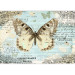 Photo Wallpaper Postcard with a Butterfly - Butterfly on a blue background with retro captions and notes 61300 additionalThumb 3