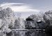 Canvas Wintry Lake 92100 additionalThumb 5