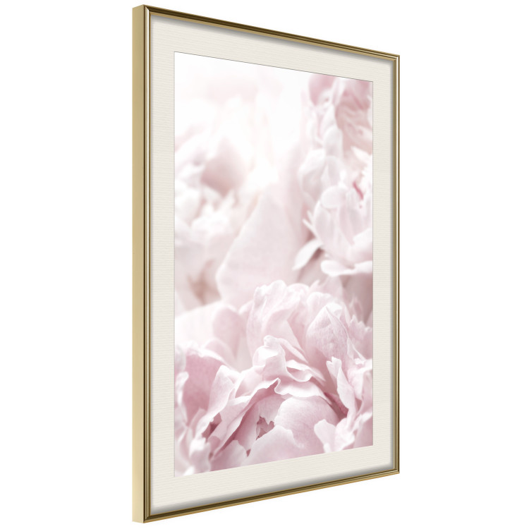 Wall Poster Fluffy peonies - botanical composition with flowers with pink petals 115010 additionalImage 2