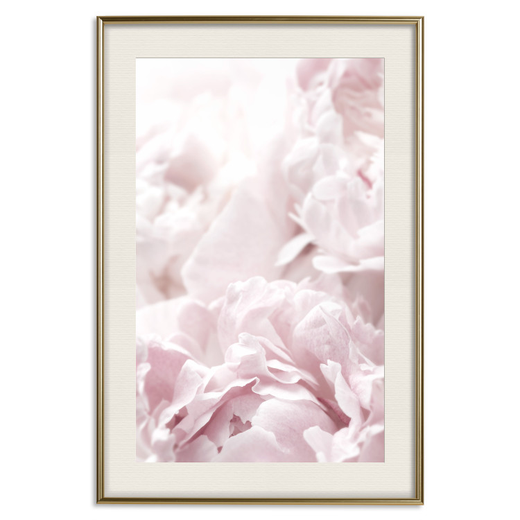 Wall Poster Fluffy peonies - botanical composition with flowers with pink petals 115010 additionalImage 27